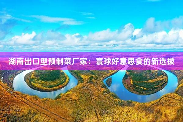 湖南出口型预制菜厂家：寰球好意思食的新选拔