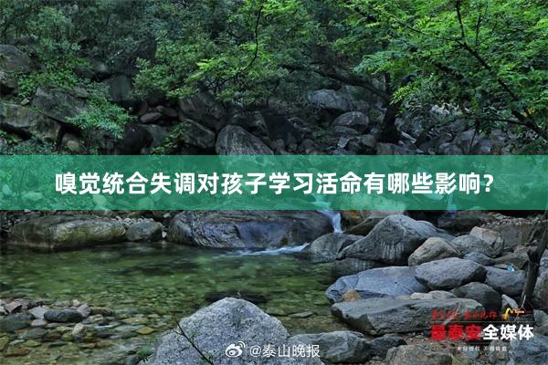 嗅觉统合失调对孩子学习活命有哪些影响？